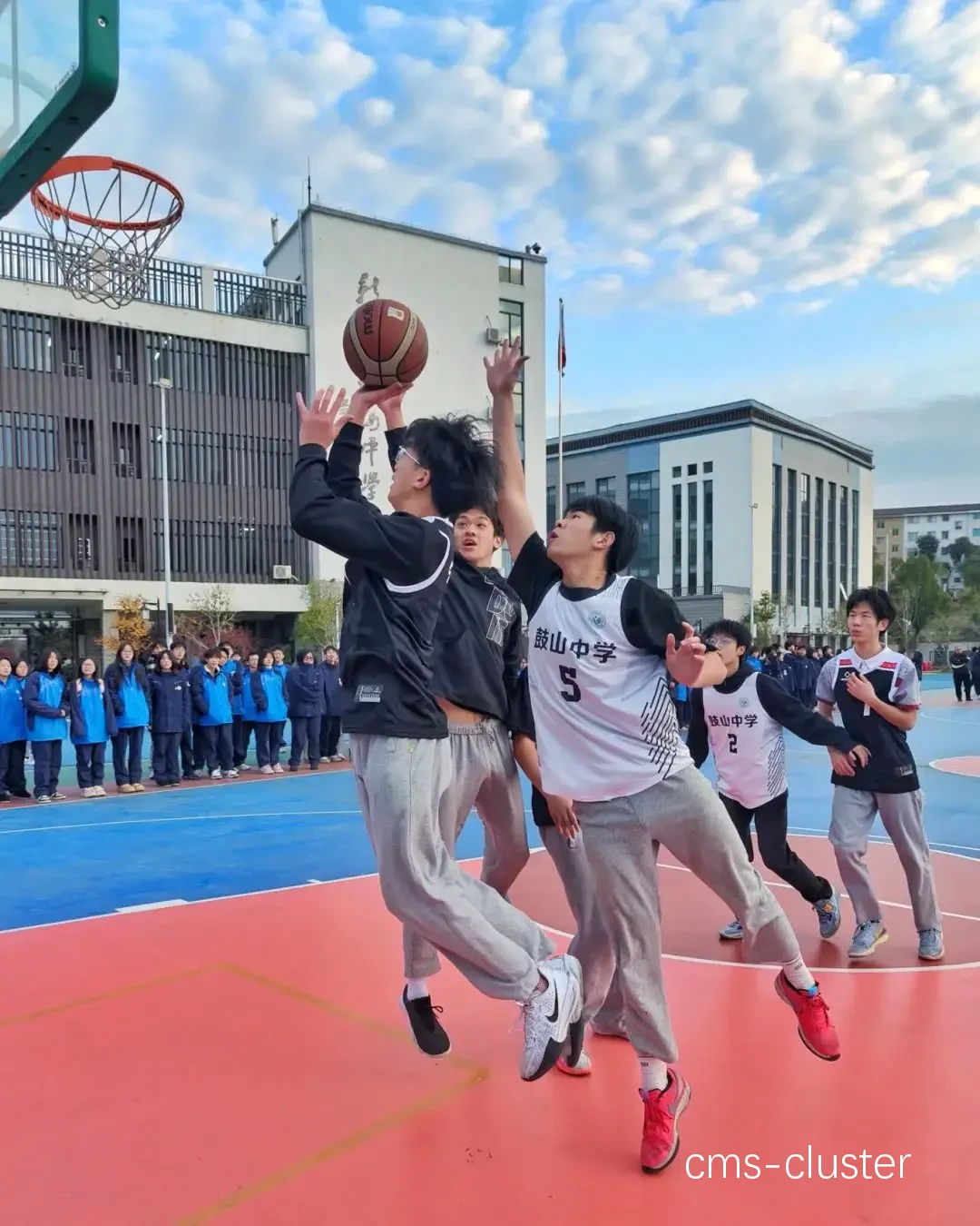 学生篮球爱好者怎样在学业和训练中平衡拼搏