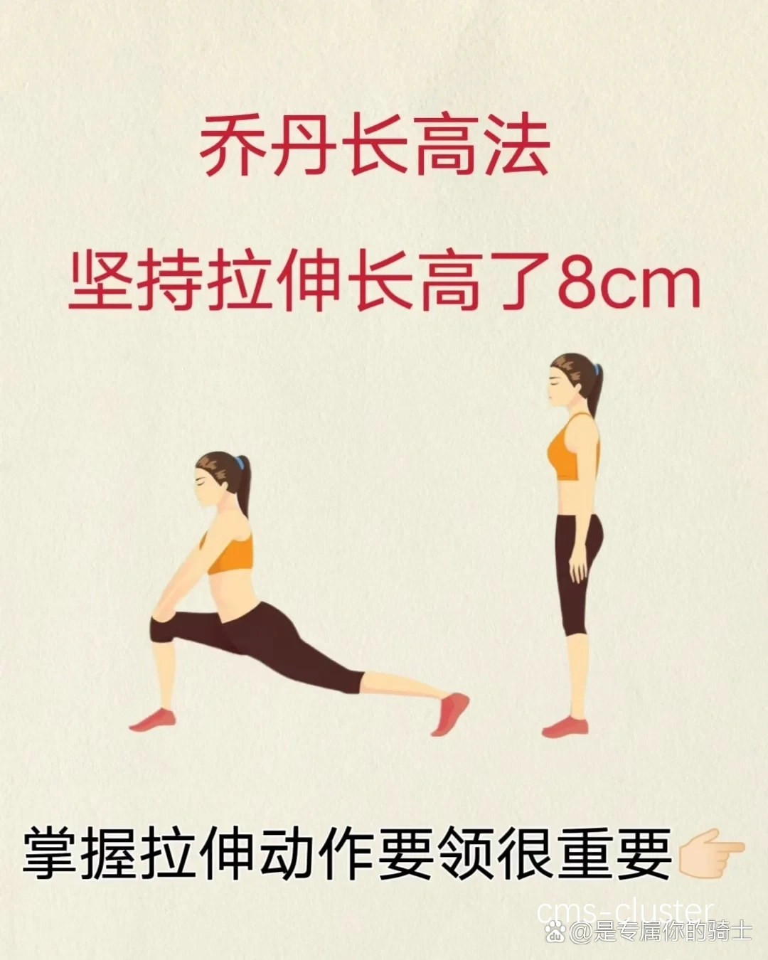职业篮球运动员推荐的拉伸方法有哪些?