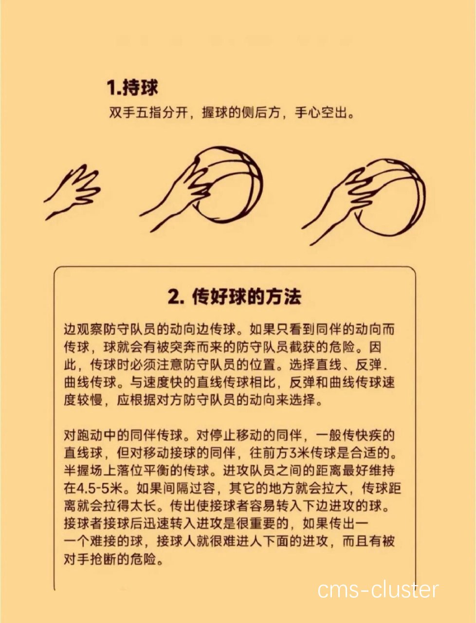 如何在家进行简单的篮球接球训练?