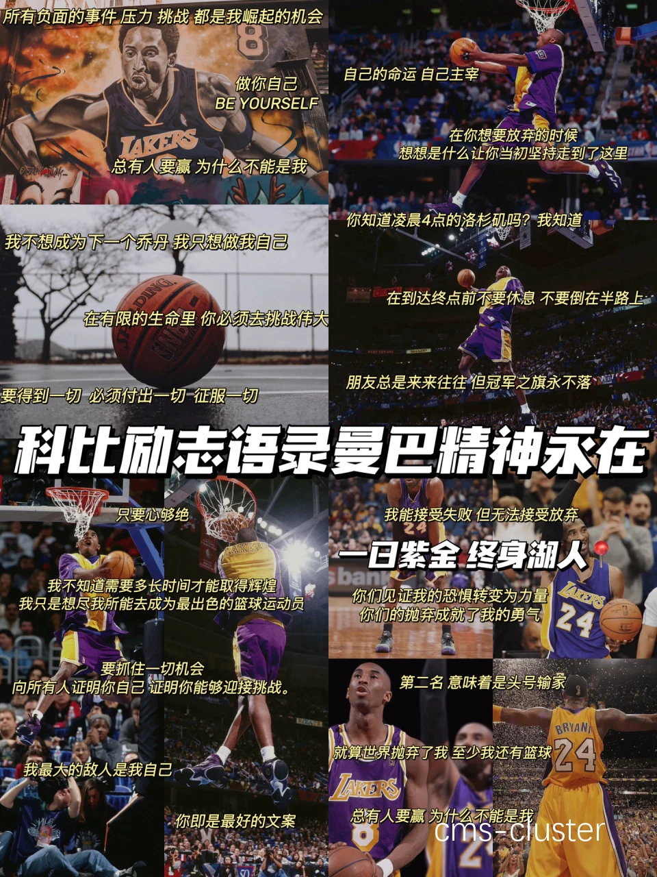 为什么篮球榜样能够激励球员不断进步