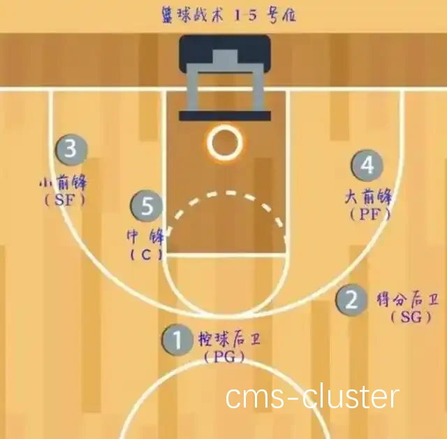 为什么抢篮板时位置比弹跳更重要?