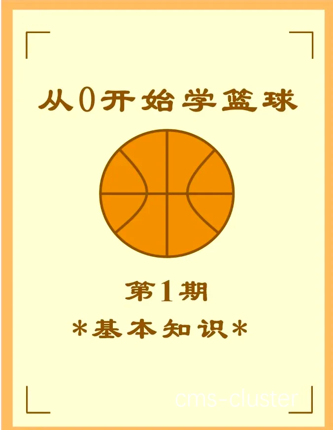 哪里有适合初学者的篮板训练教程?