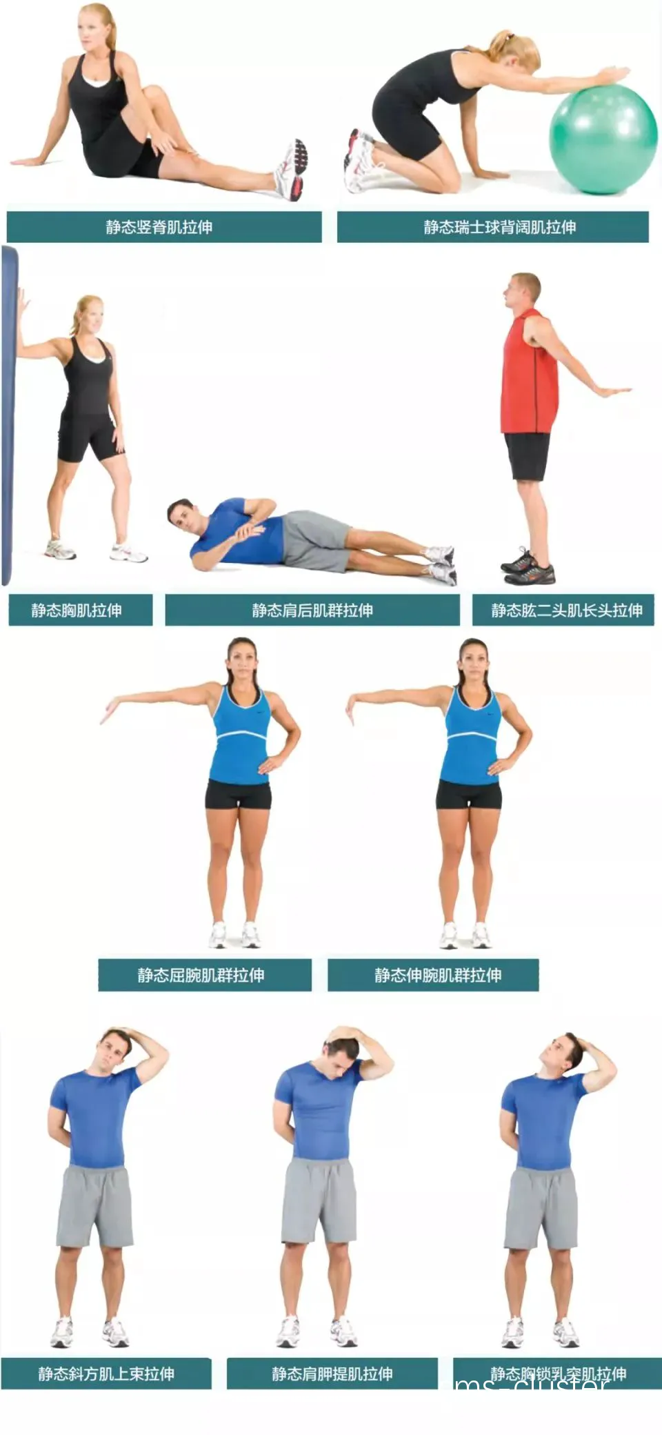 女性篮球运动员需要注意哪些拉伸要点?