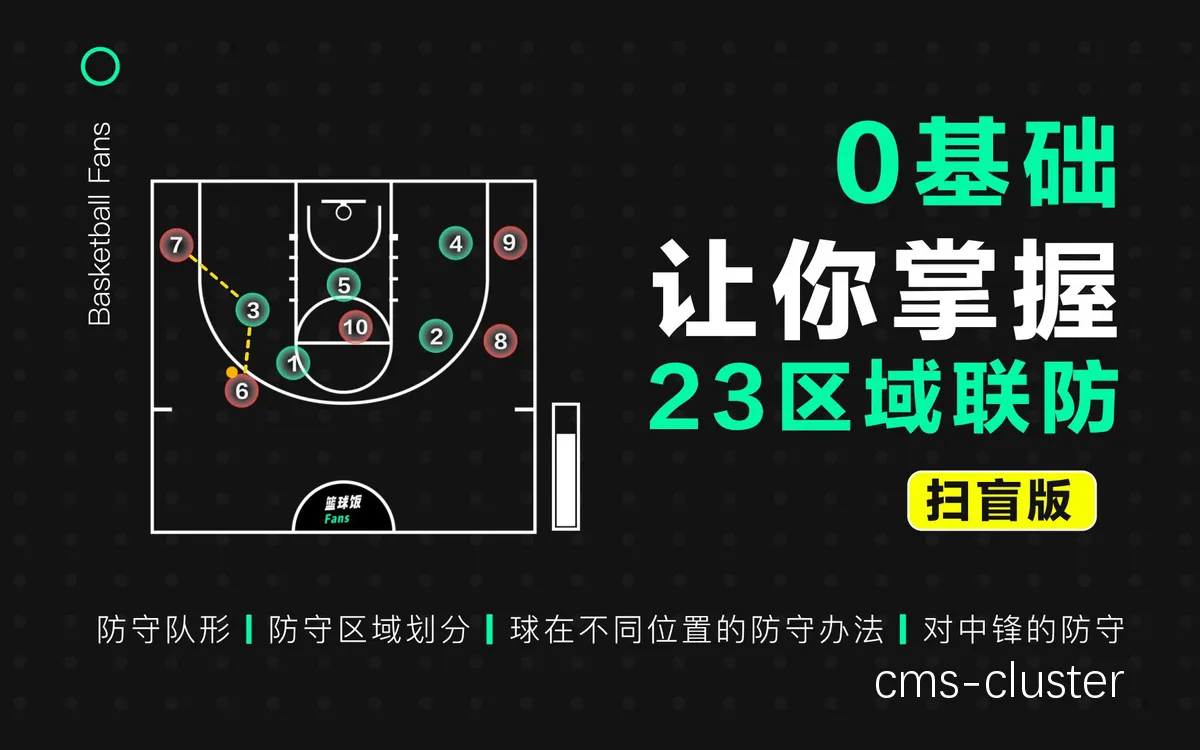 哪里能找到专注于防守技巧的篮球辅导