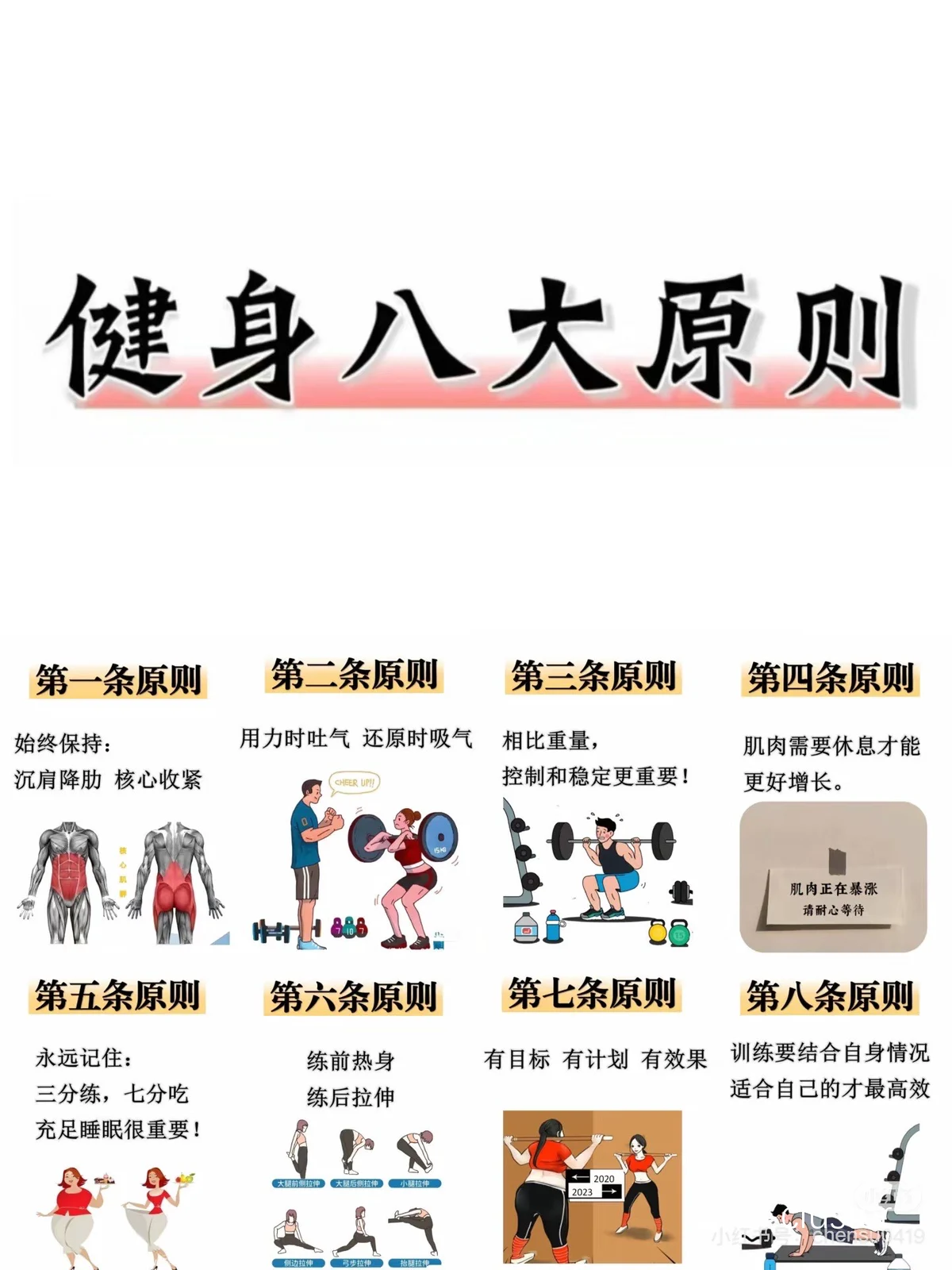 为什么分卫需要特别注重体能训练