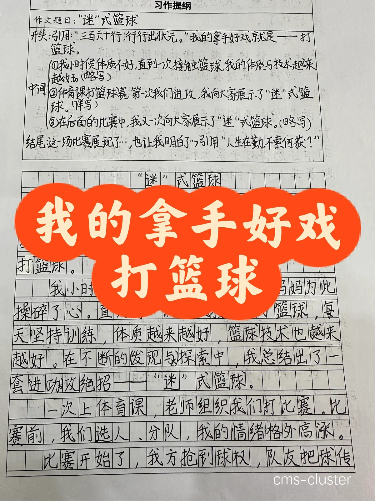 哪里能找到关于篮球责任感的书籍或文章