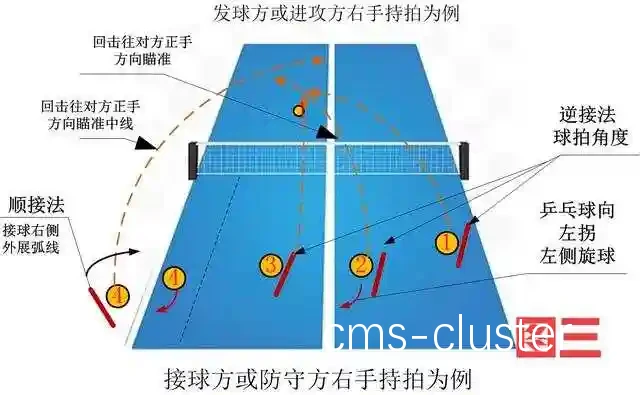 如何在比赛中更好地接球并迅速反应?
