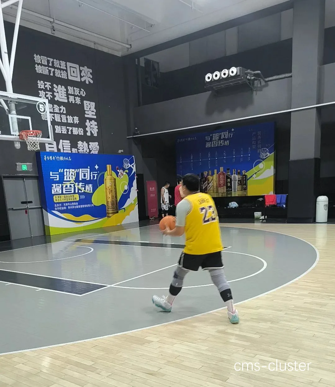 哪里有专业的篮球运动员智能睡眠咨询