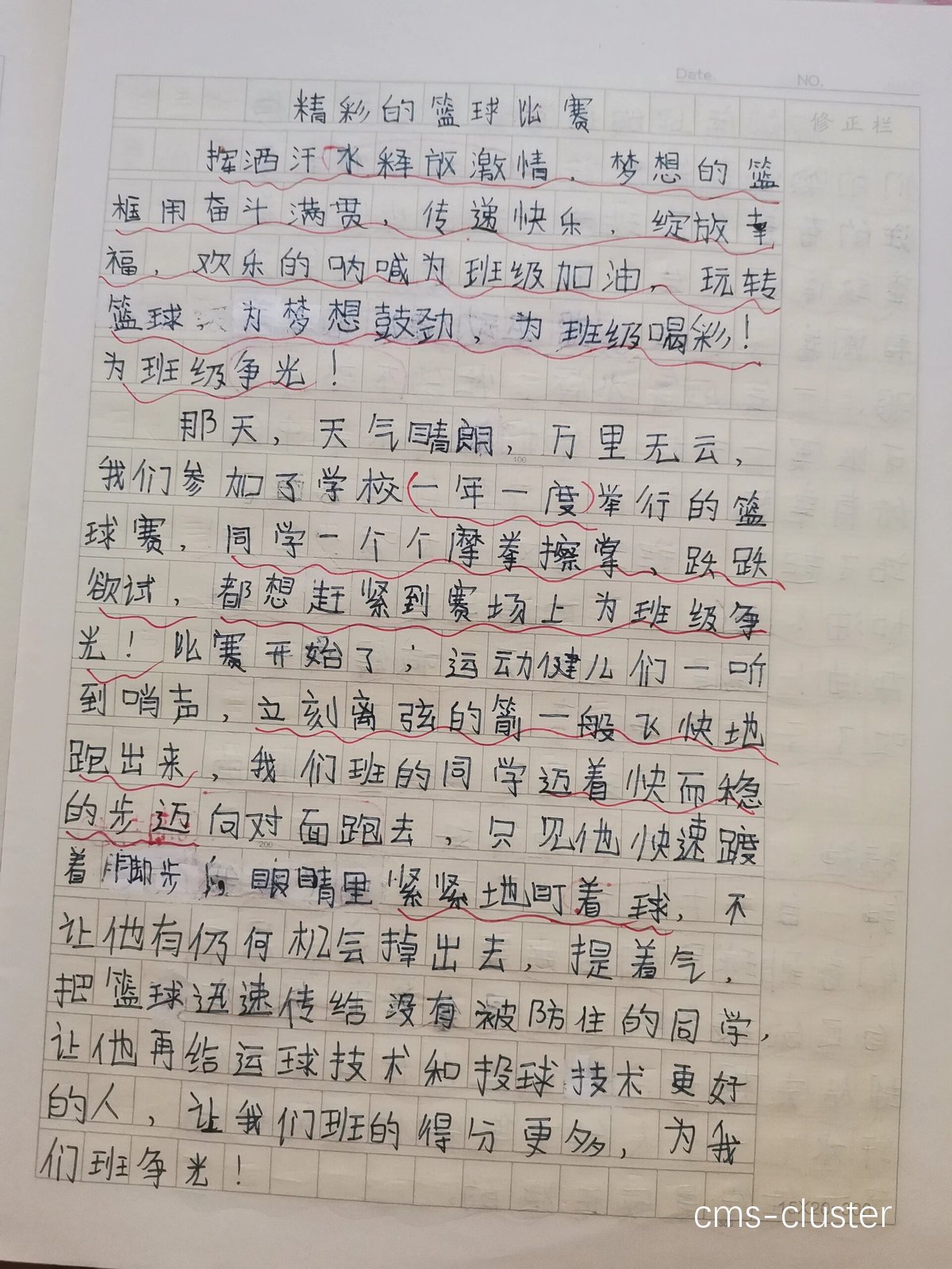 如何通过个人日记记录篮球训练的点滴总结?