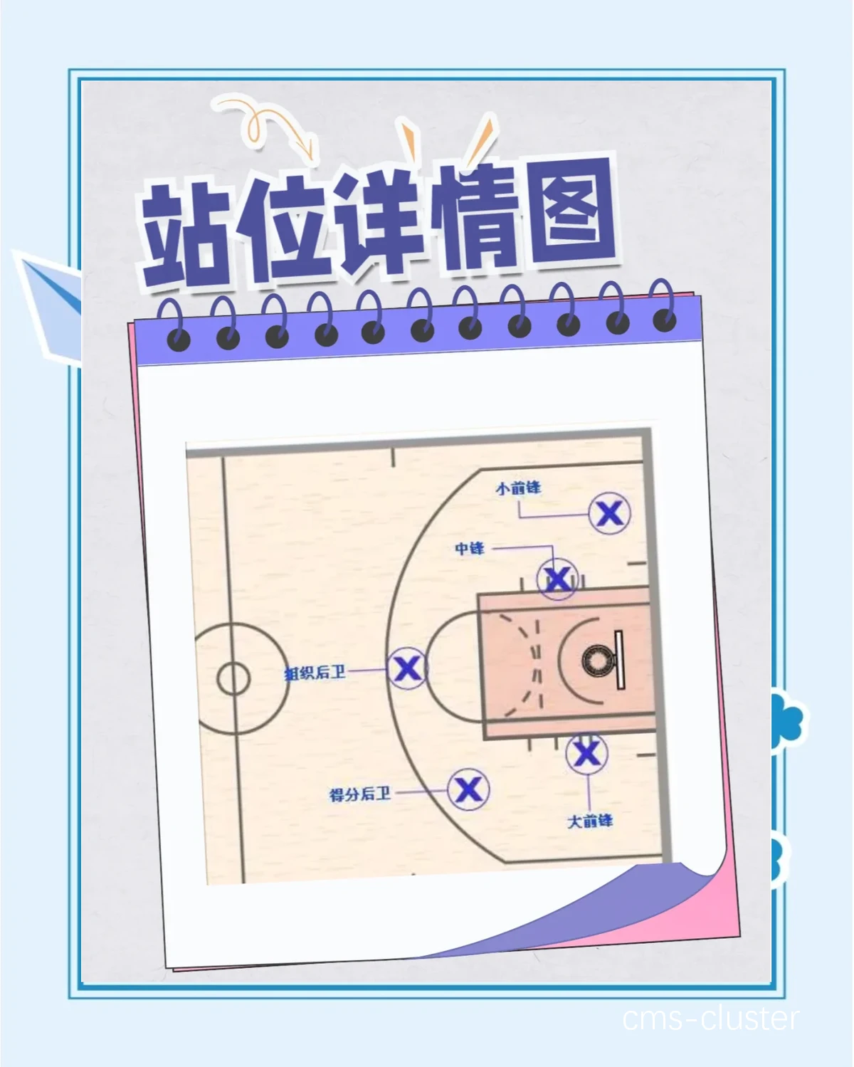 哪里能找到专业的篮球训练与发展蓝图