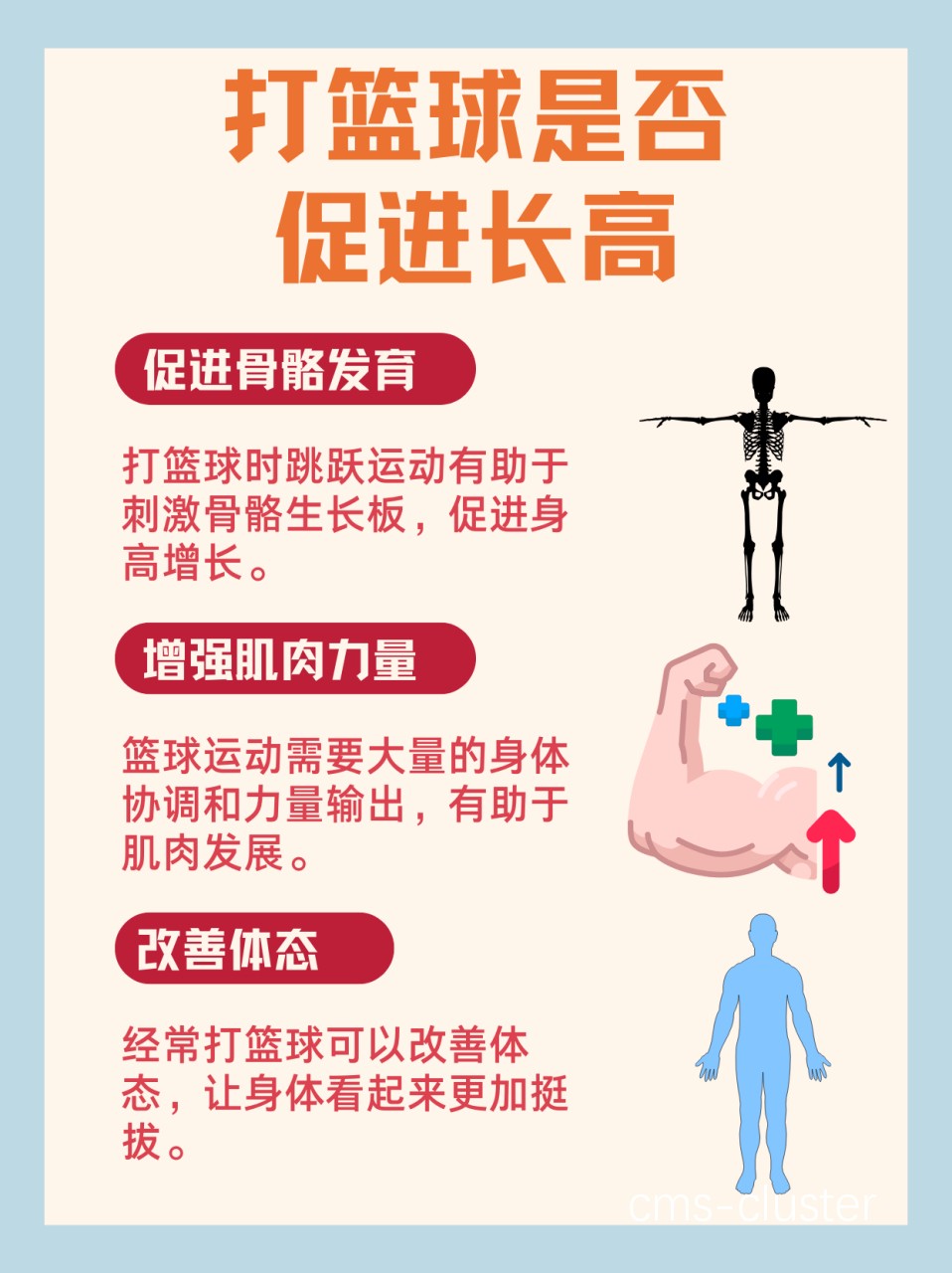 为什么测量篮球运动员的身体数据对发展很重要