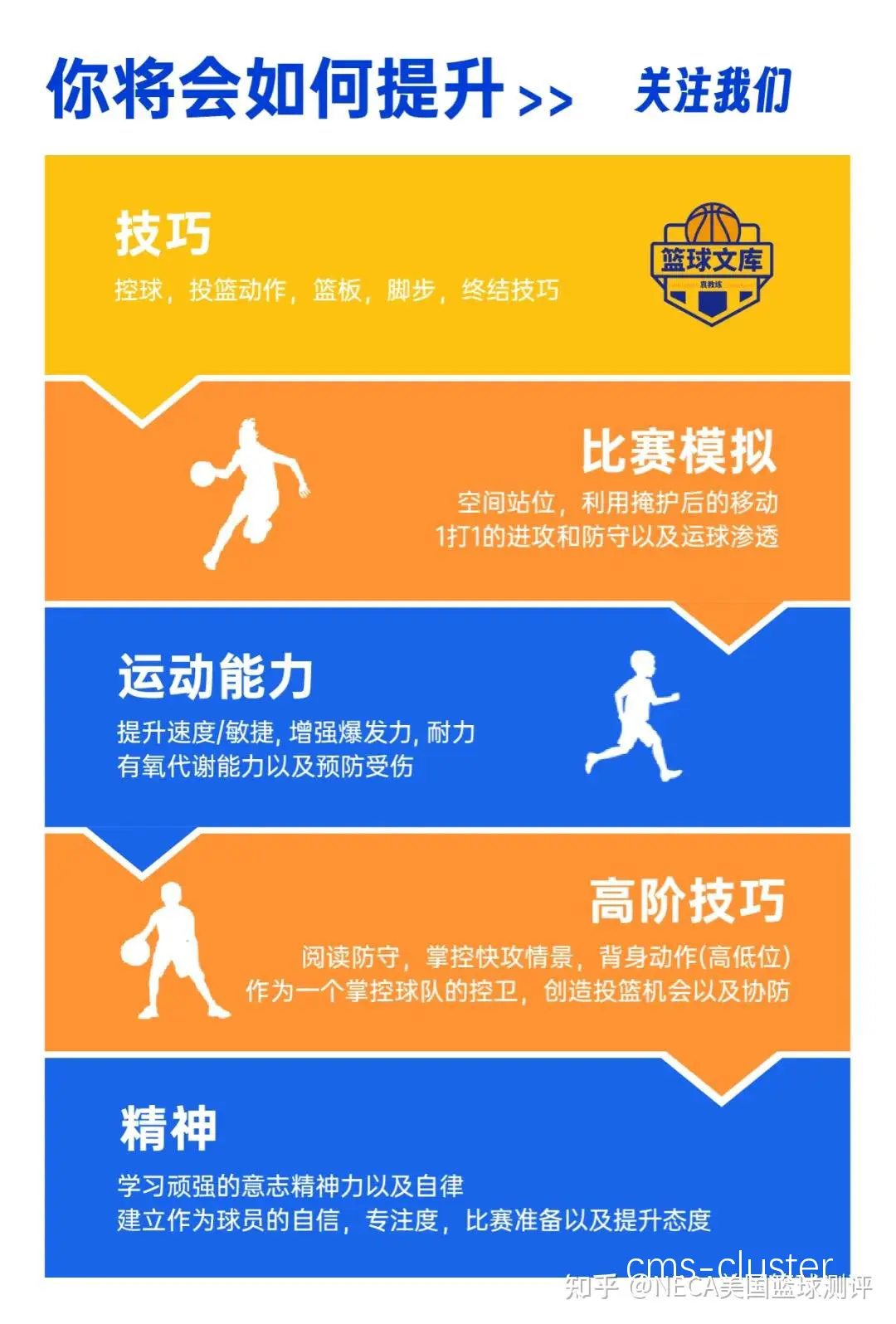如何在智能时代为篮球教练提供更好的训练支持