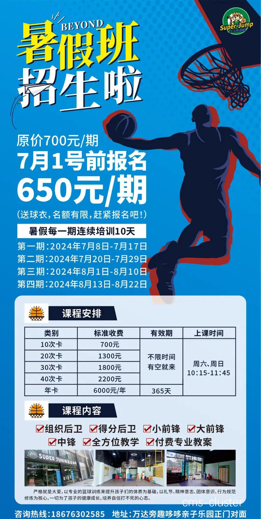 哪里能找到适合青少年的篮球训练助手