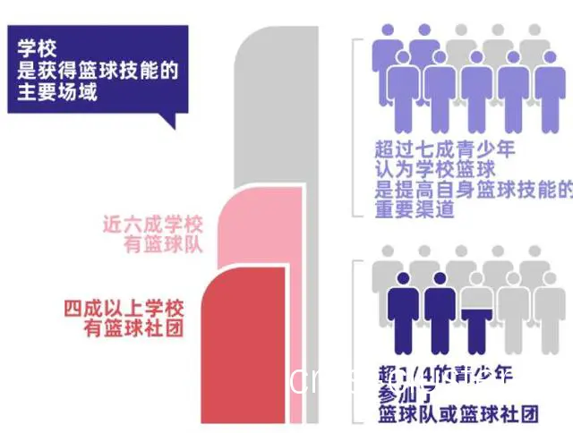 为什么不同年龄段的篮球运动员之间存在发展差距