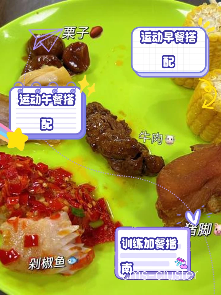 哪里能找到适合女性篮球运动员的智能饮食建议