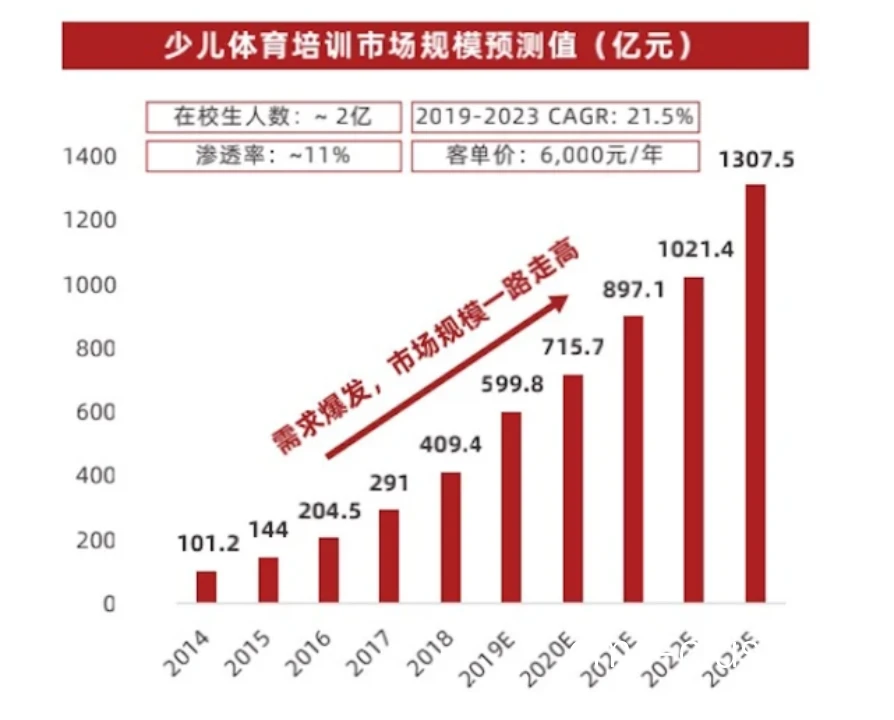 专业篮球培训机构如何运用统计数据分析