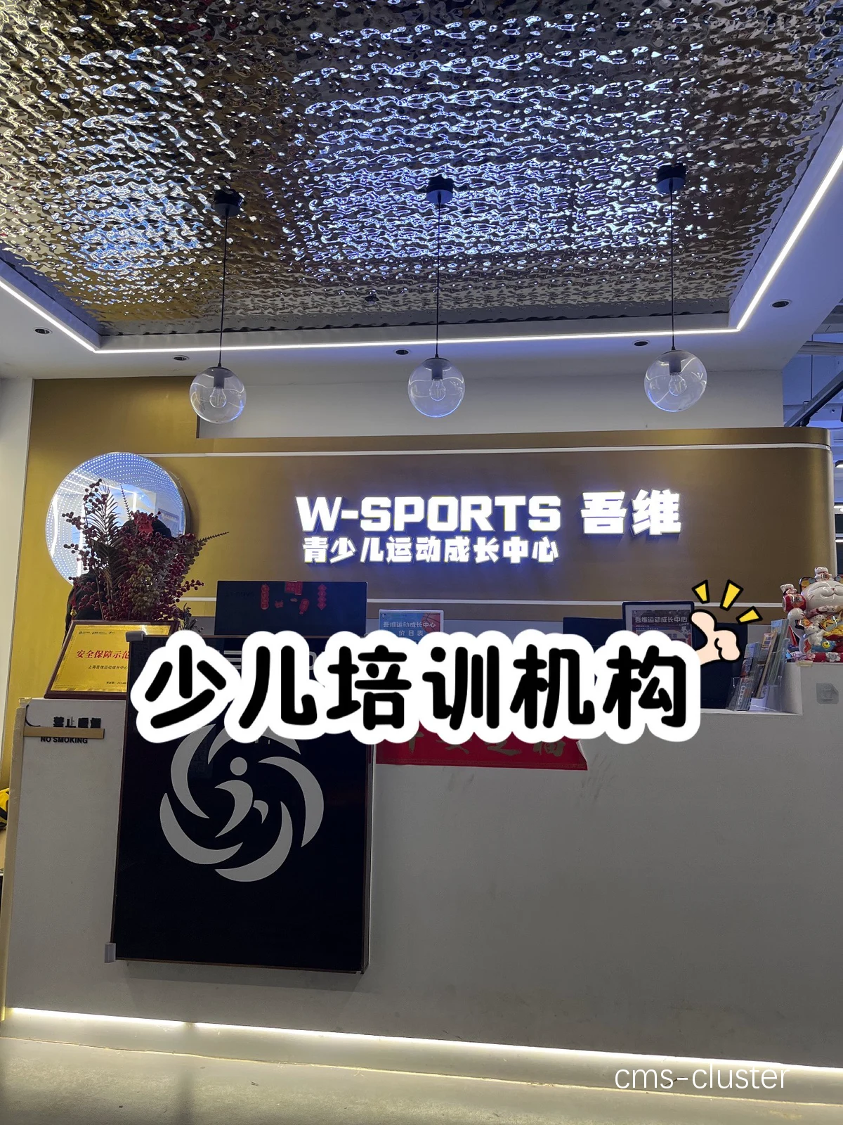 如何利用科技提升团队篮球训练效果