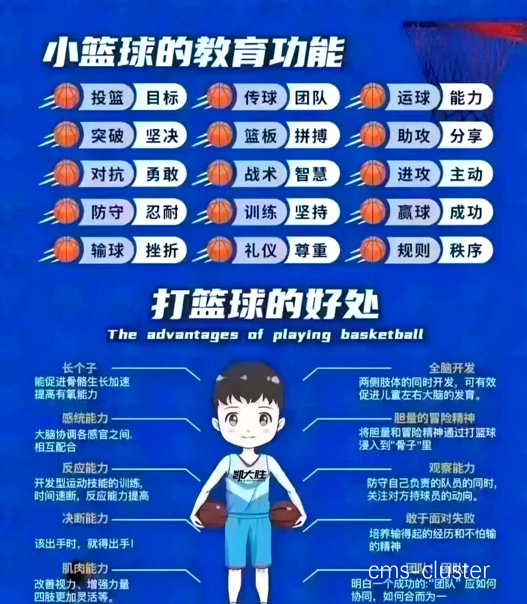 如何利用篮球代言促进青少年训练与发展
