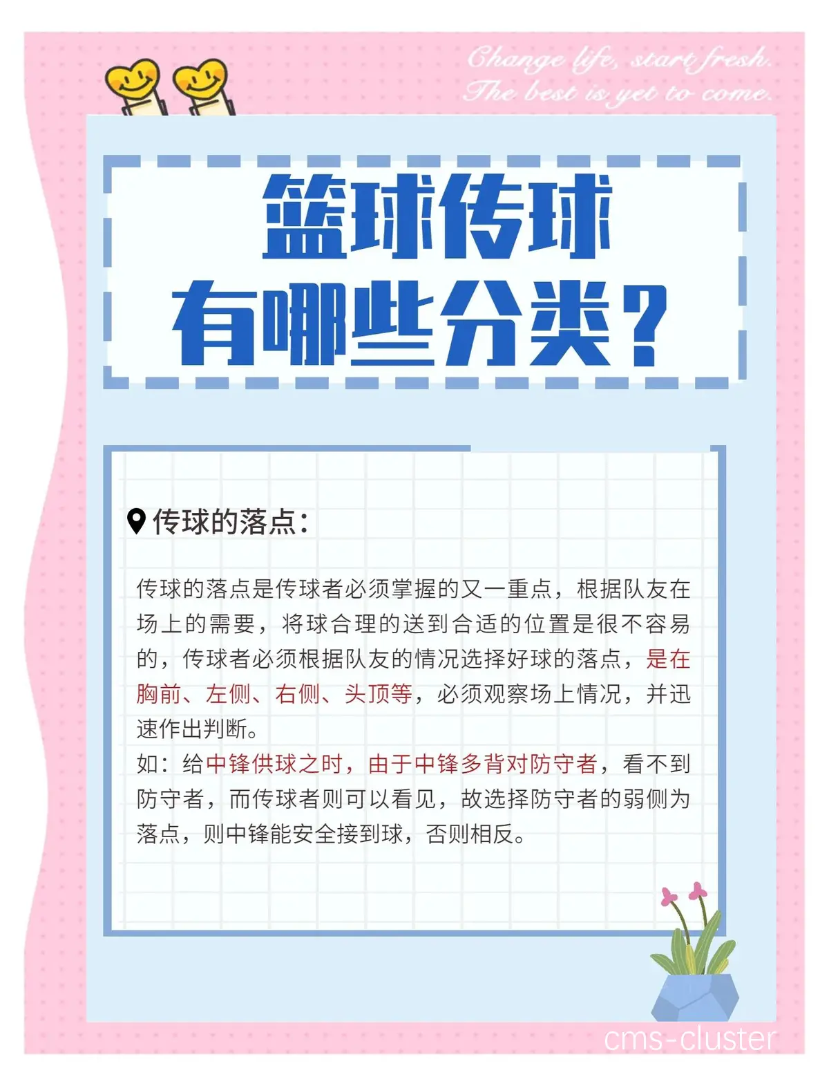 为什么专业篮球品牌在训练中如此重要